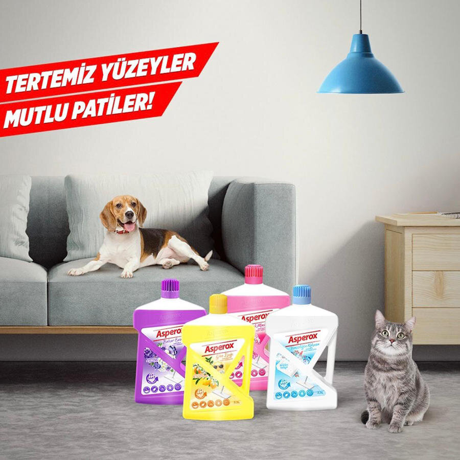 Asperox Parfümlü Yüzey Temizleyici 2500ML